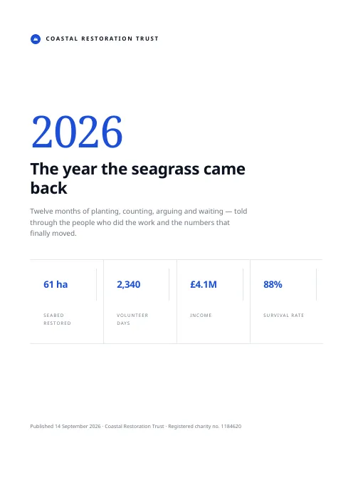 Annual Review E-book PDF template preview