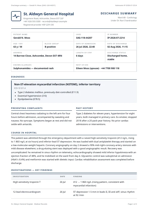 Patient Discharge Summary PDF template preview