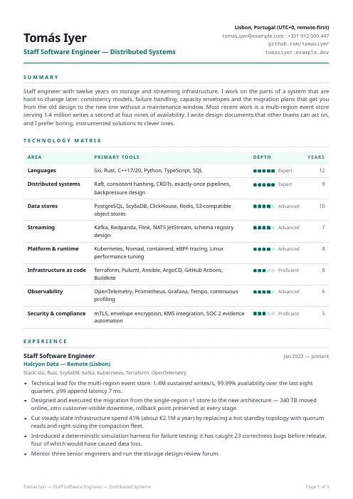 Technical Resume PDF template preview